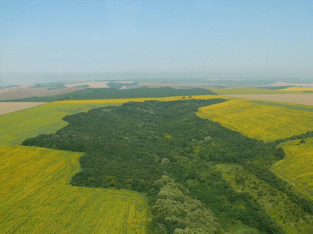 Дунайская равнина в Болгарии