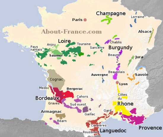 какое место в мире занимает франция по площади виноградников
