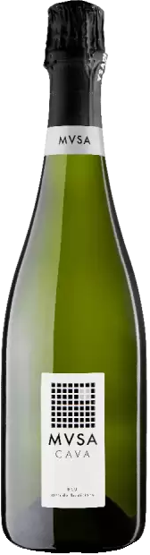 Игристое вино MVSA cava Brut 0.75 л