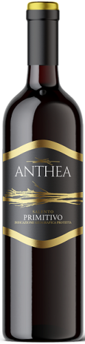 Anthea Primitivo