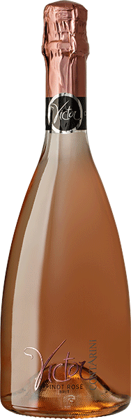 Игристое вино Victor Pinot Rose Brut Spumante 0.75 л