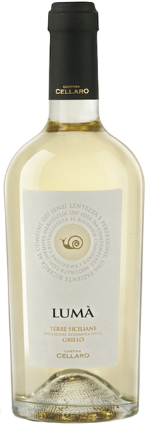 Вино Grillo, Terre Siciliane White Dry 0.75 л