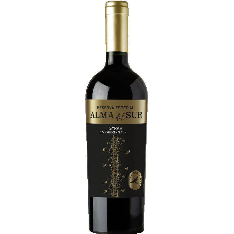 Alma del Sur Reserva Especial Syrah