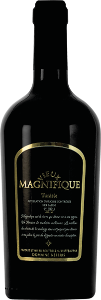 Вино Vieux Magnifique 0.75 л