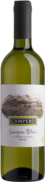 Campero Sauvignon Blanc