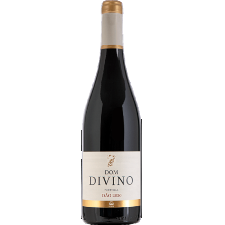 Dom Divino