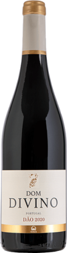 Dom Divino