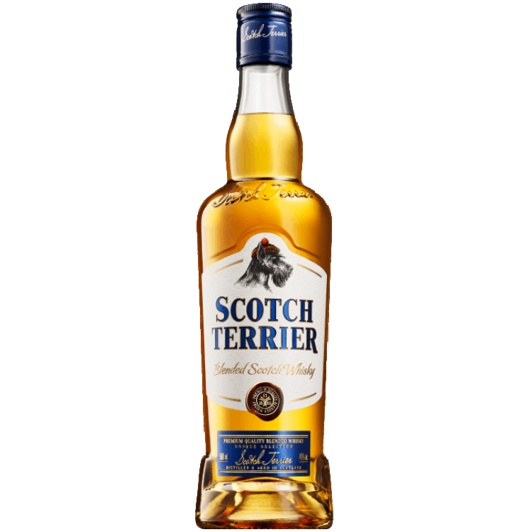 Scotch Terrier