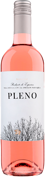 Pleno