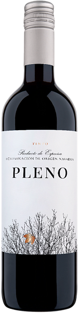 Pleno