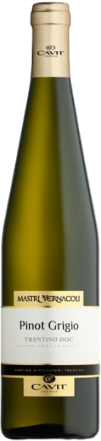 Mastri Vernacoli Pinot Grigio